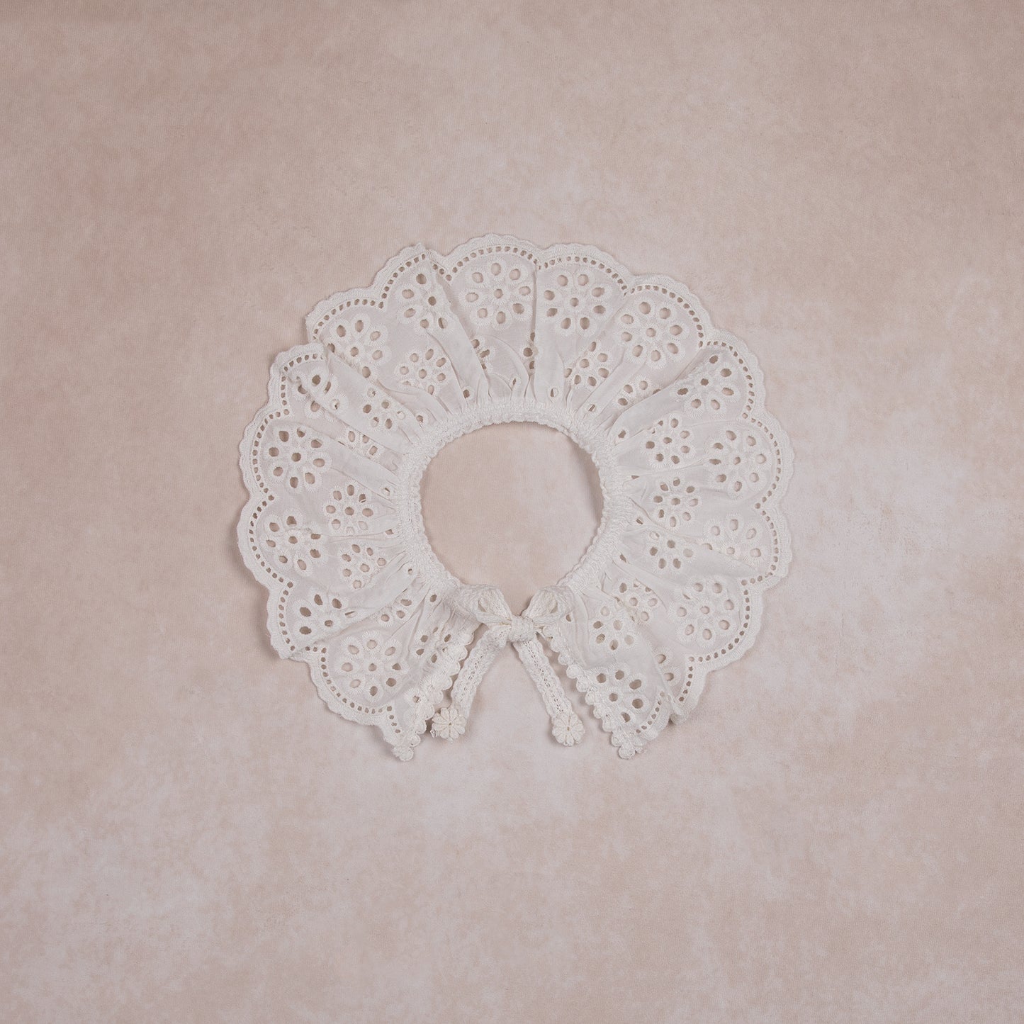 eyelet collar I daisy